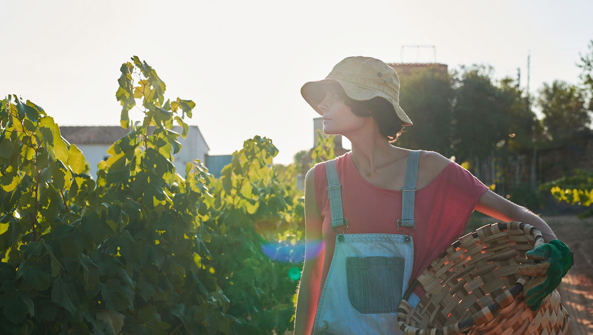 Fruit picking jobs in New Zealand A complete guide OrbitRemit Blog