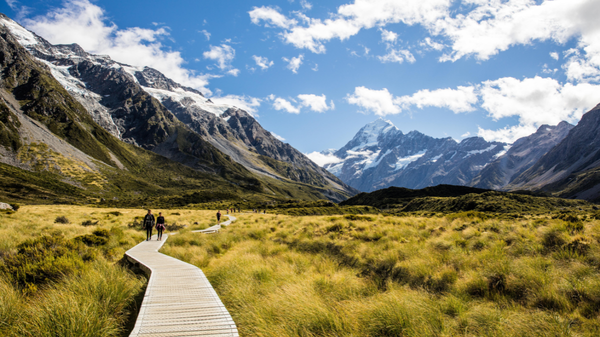 How to Move to New Zealand from India (2025 Guide) How to Move to New Zealand from India (2025 Guide)