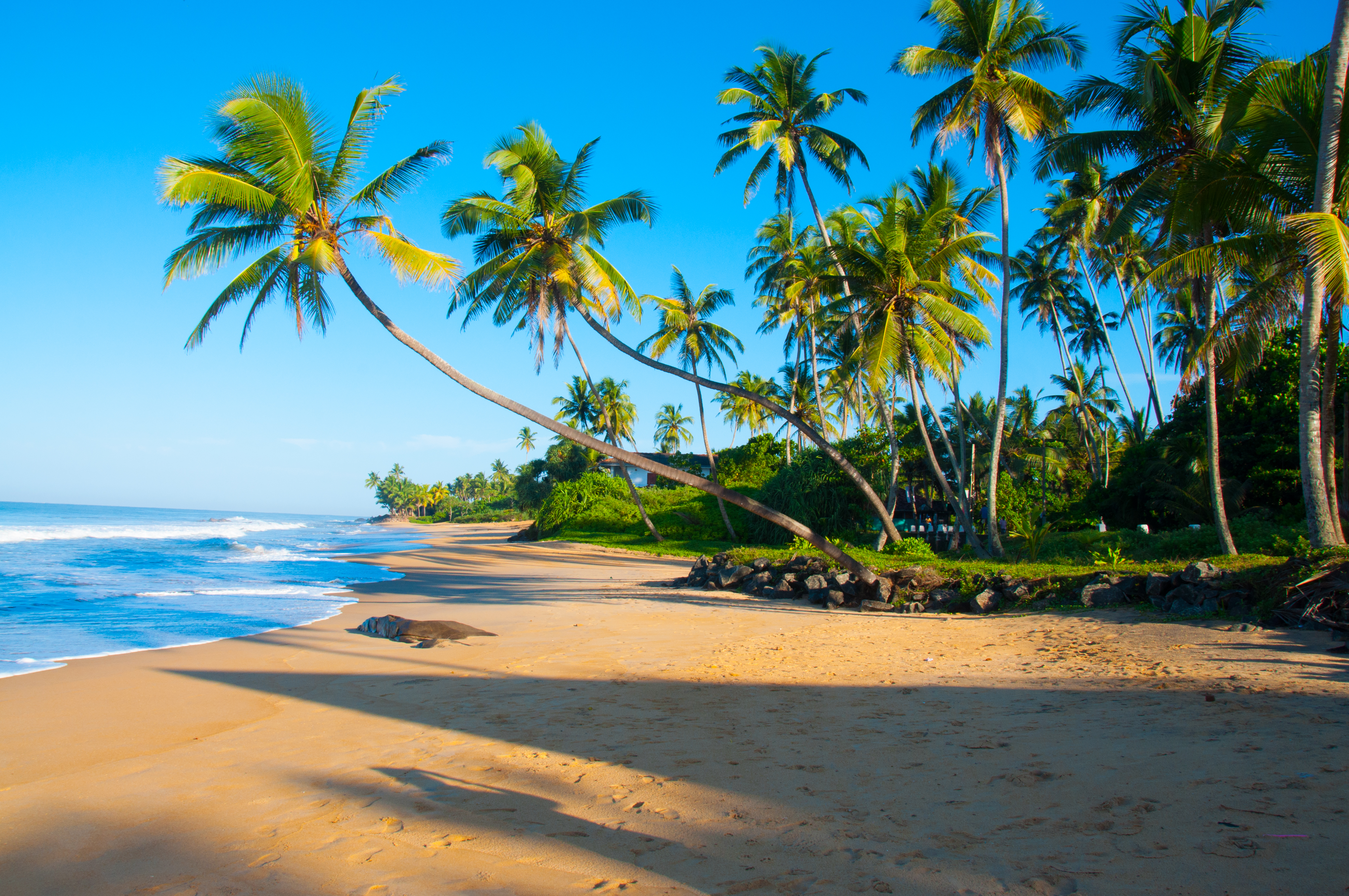 Sri Lanka travel guide: everything Australians and New Zealanders need to know