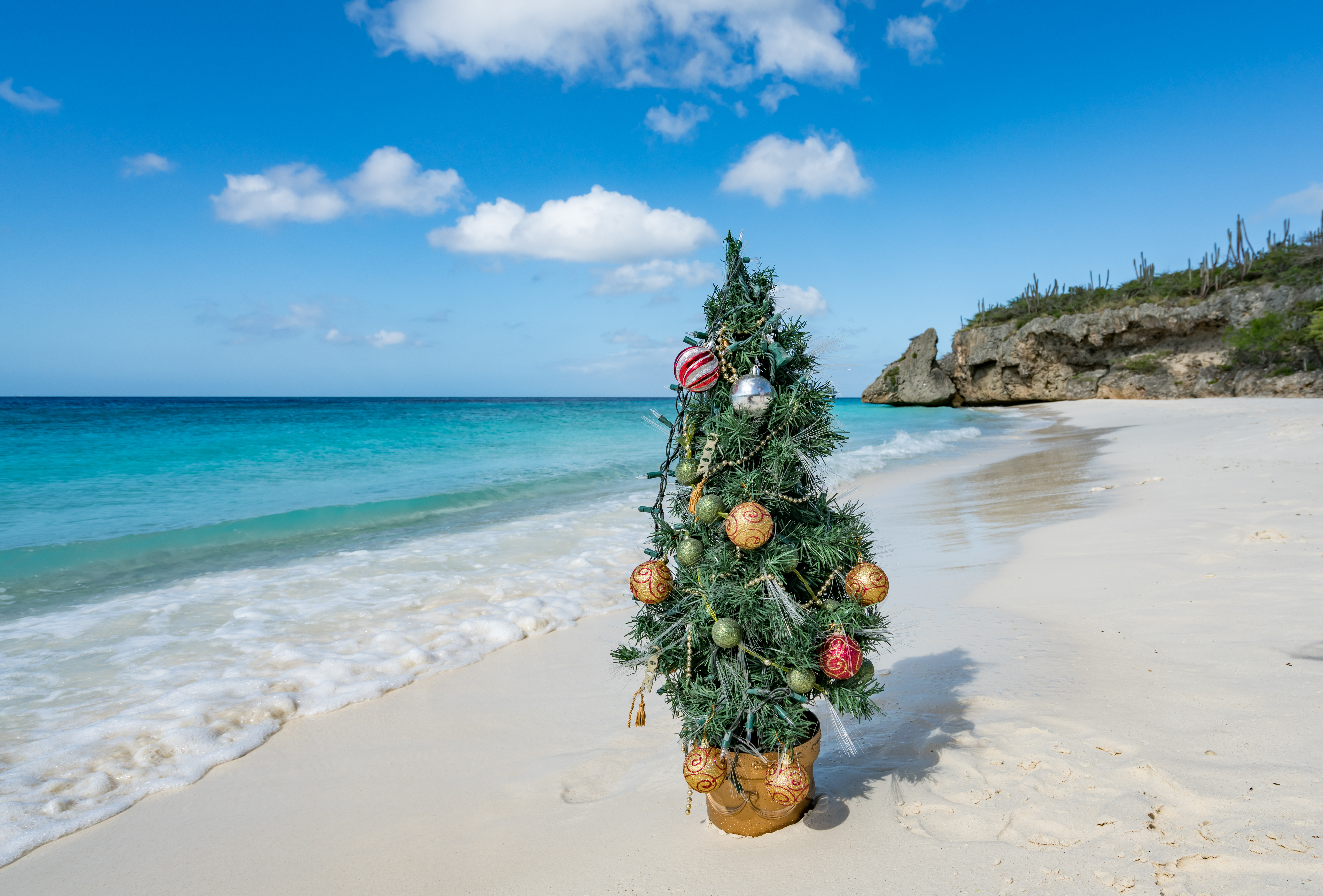 christmas tree ornamented on tropical beach at day 2026 09 24 18 34 29 utc